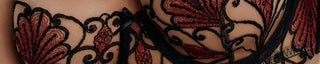 Alba Collection - Lingerie Shikkosa