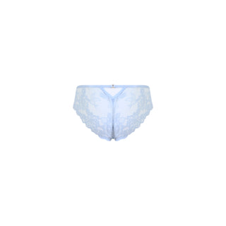 ALBA BRIEF Skyway