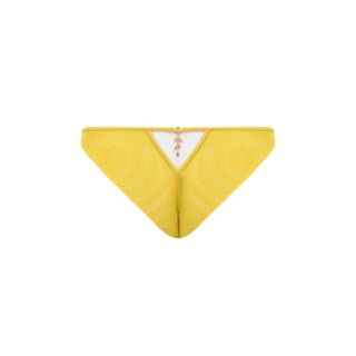 Back side of a Brief in Yellow